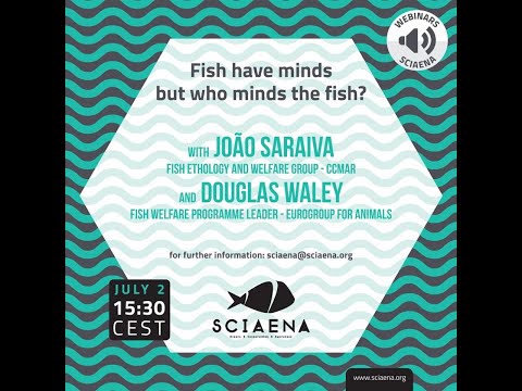 Webinar "Fish have minds but who minds the fish?" João Saraiva and Douglas Waley