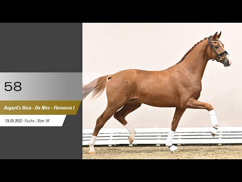 58 Hengst v Asgard's Ibiza - De Niro