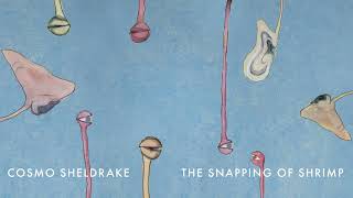 Cosmo Sheldrake - The Snapping Of Shrimp