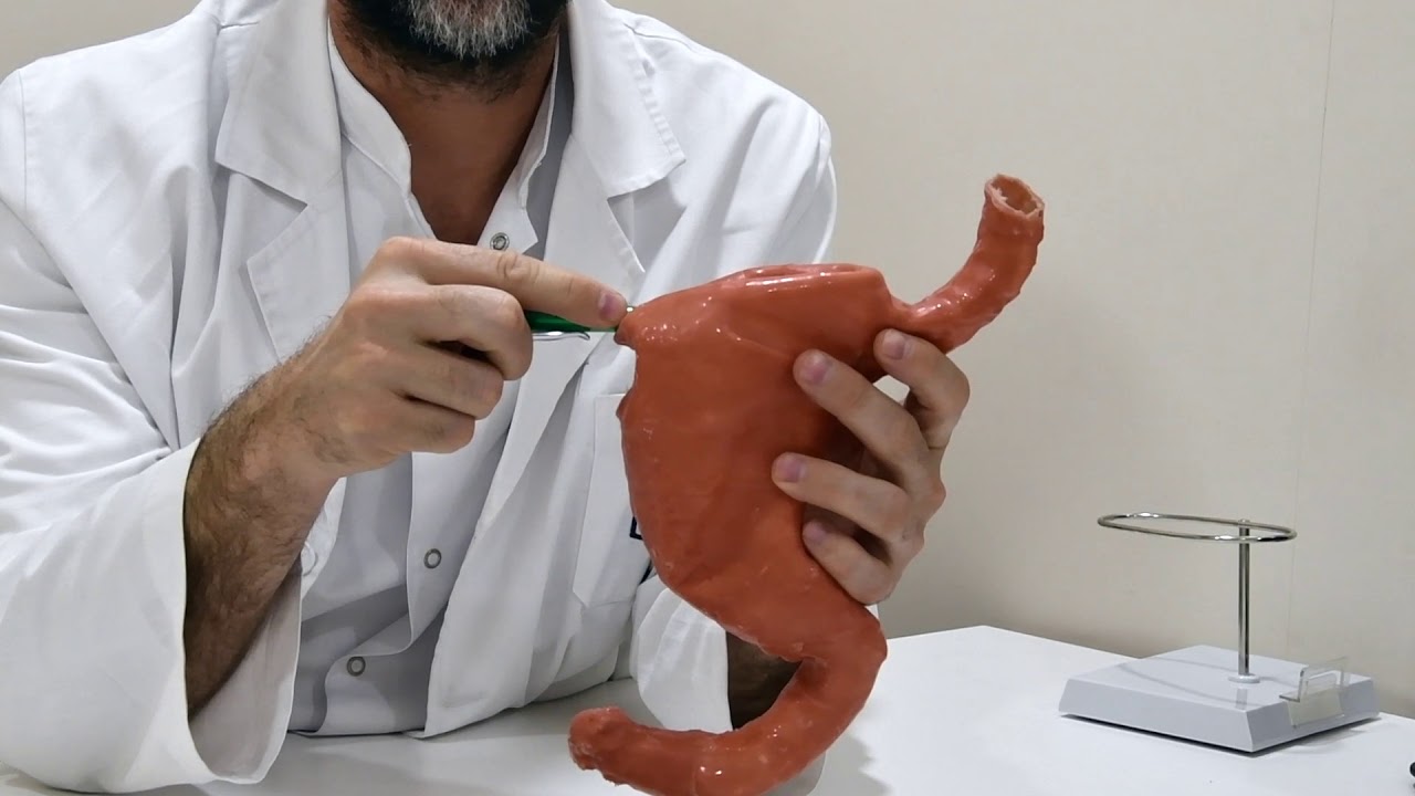 Román Turró Arau-9