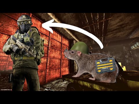 Tips to Becoming a Chad | Escape From Tarkov (Guide)