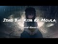 Ishq Bhi Kiya Re Maula Jism 2 Slowed Reverb
