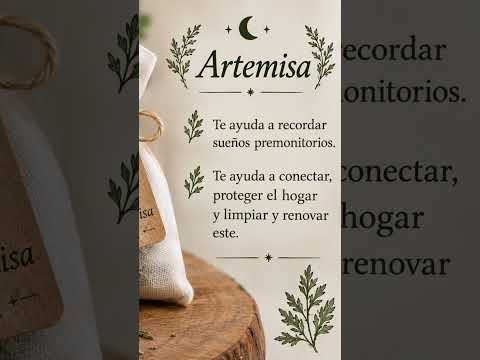 SACO DE ARTEMISA