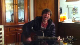 Millencolin - Shut You Out / Acoustic Version By Luiz Corrêa (Cover)