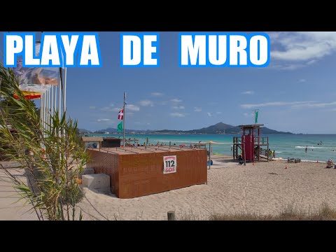 Playa de Muro Mallorca 🇪🇸