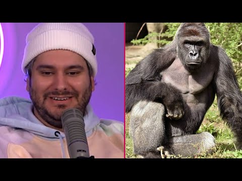 Rare Interview w/Harambe's Zookeeper
