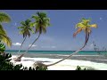 Paul Brown - White Sand *THE SMOOTHJAZZ LOFT*