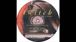 Darwin Chamber - Mesmerelda (Jim Hopkins Mix)