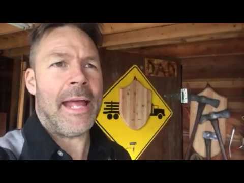 Vintage Sager Axtköpfe