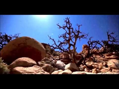 Illitheas vs Above & Beyond pres. OceanLab - Miracle Halion (DJ NickyCerberus Mashup)