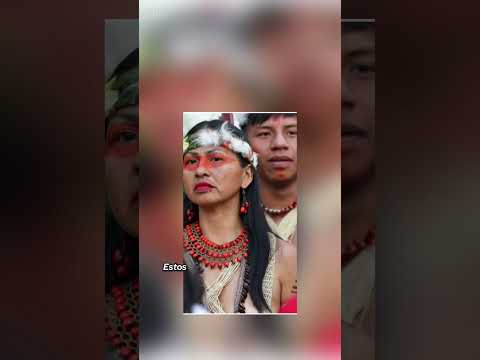 Sabías de alguien l Cuyabeno #CuyabenoSelvatica#AmazoniaEcuador