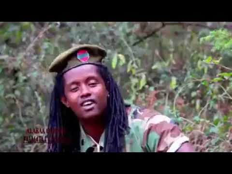 Sirba falmataa kabbadaa alaabaa oroomo bosona kan turtee 