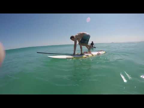 Attacks Giant Squid Surf Board!