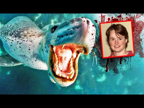 Kristy Brown TRAGICALLY DROWNS from Leopard Seal Attack