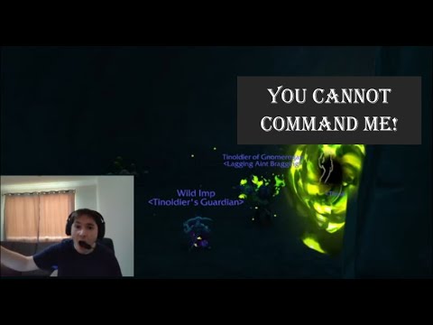 Funny Warlock Minion Moments (World of Warcraft)