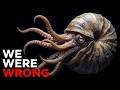 Nothing About The Nautilus Was Normal... Here's Why