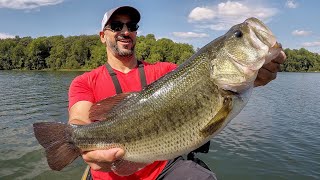 Finesse Bass Fishing for GIANTS & NUMBERS!!! DROP SHOT MAGIC!