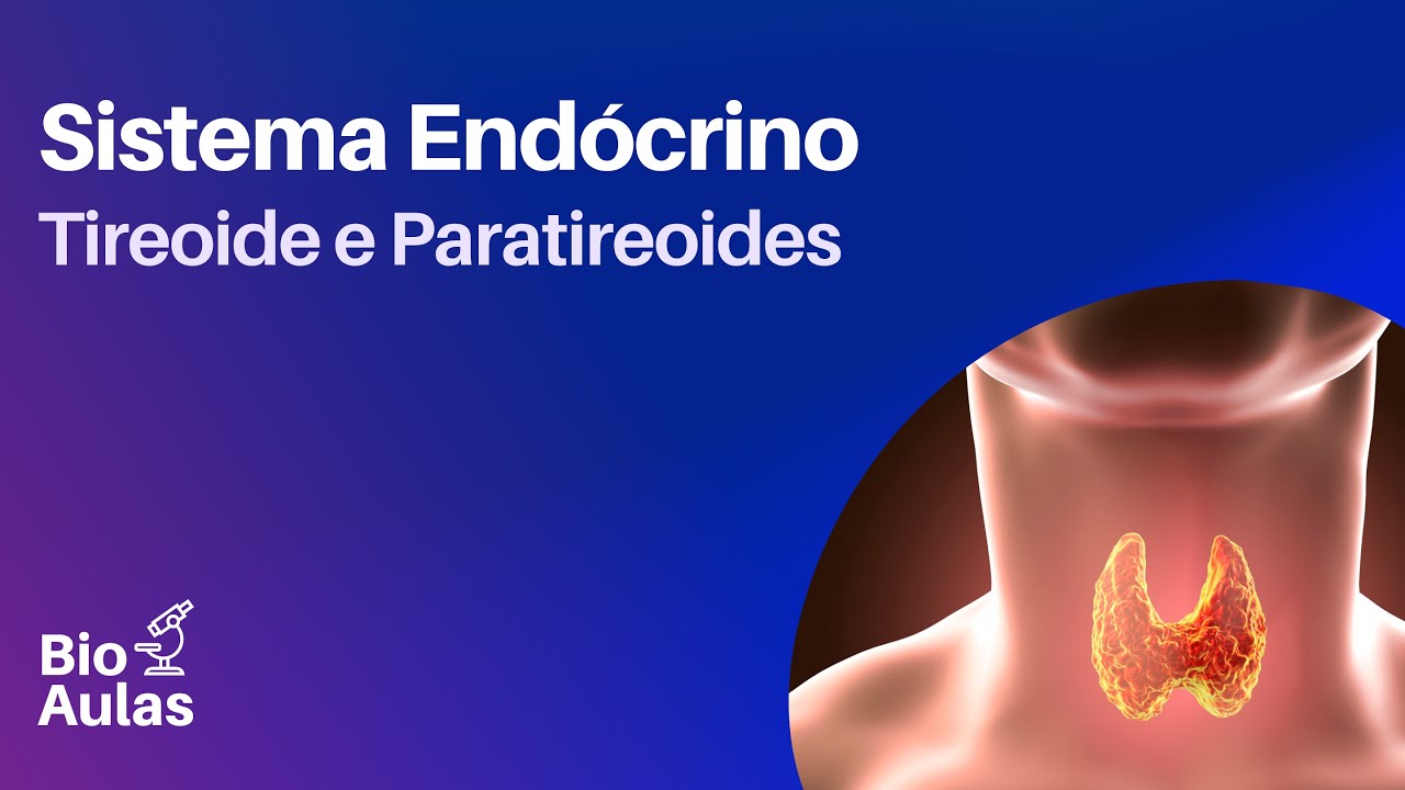 Tireoide e Paratireoides - T3, T4, Calcitonina e Paratormônio (Sistema Endócrino)