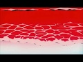 Snoop Dogg Pharrell Beautiful Slowed Reverb