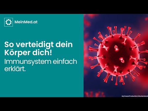 Das Immunsystem einfach erklärt