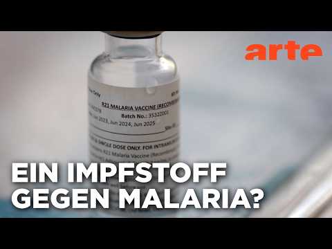 Video Thumbnail: Malaria - Hoffnung in Sicht | Doku HD Reupload | ARTE