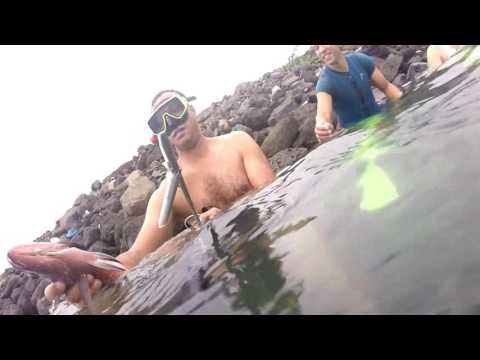 Free immersion in the sea rochdi bouabid al arabi  Sipopo