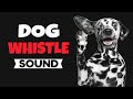 Dog Whistle Sound Ultrasonic High Pitch