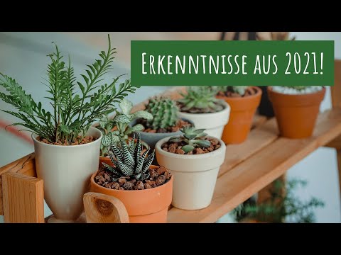 Diese 5 Dinge habe ich im Jahr 2021 über das Pflanzenhobby gelernt! (Töpfe, Schädlinge und mehr)