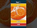 peel - pelar video thumbnail