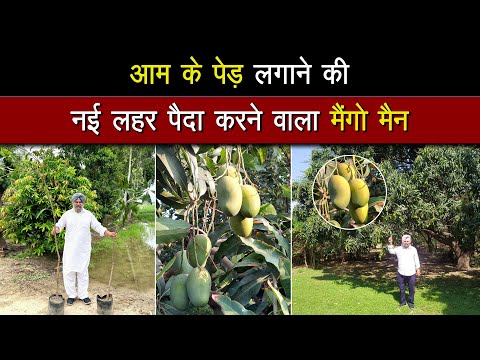 मिलिए पंजाब के मैंगो मैन से