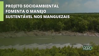 Miniatura do vídeo