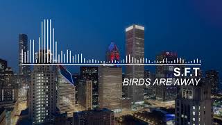 S. F. T. - Birds Are Away
