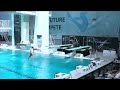 Women 1m Eindhoven Diving Cup 2023