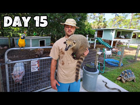 Wie es ist, jeden Tag über 500 Tiere zu besitzen ...