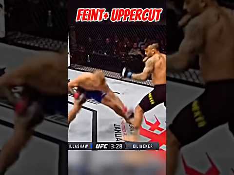 👊 Feint ➡️ Uppercut Punch 👊 #mma #shorts