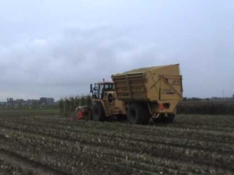 Loonw. Spruytte - Houthulst