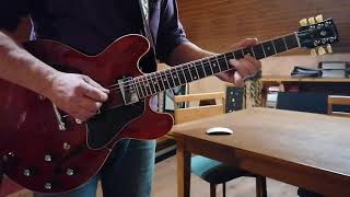 Johnny Winter - Bony Moronie live- Guitar Cover by Tomás