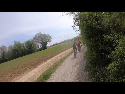 Alle sorgenti del Sile: la pedalata da Badoere e Treviso, tra aironi e mulini