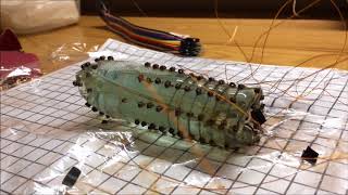 Shape Memory Alloy Driven Whole Skin Locomotion