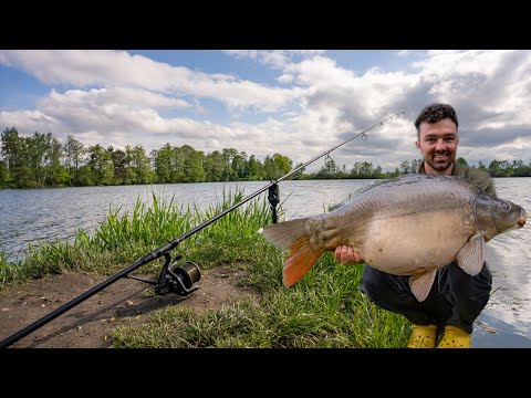 So fängst du im Frühsommer I Karpfenangeln am Baggersee