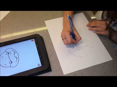 How To Draw everything Video