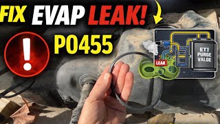 astro van P0455 fix