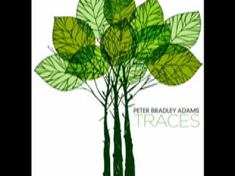Peter Bradley Adams - For You.mov