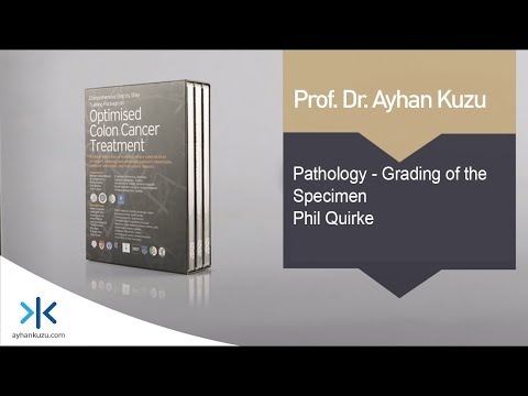 3.3.3. Pathology - Grading of the Specimen - Phil Quirke