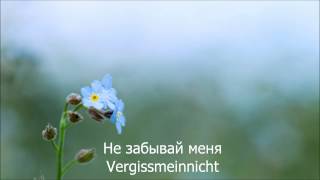 Eisbrecher - Vergissmeinnicht HD Lyrics Текст песни и перевод