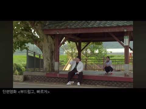 비디오 12