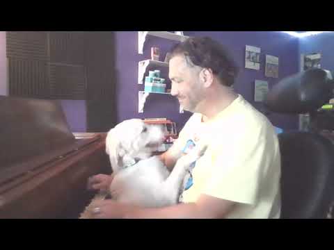 Promotional video thumbnail 2 for Francis McGrath