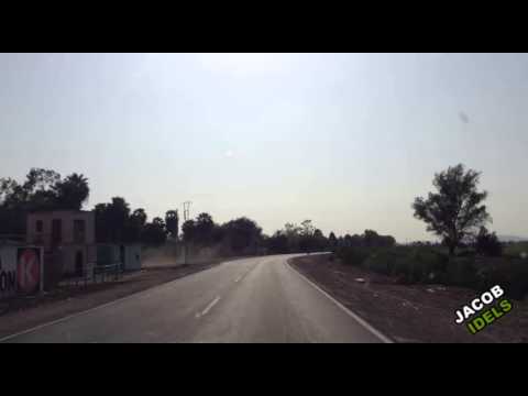 Moonbeam J-Soul - Life Tree