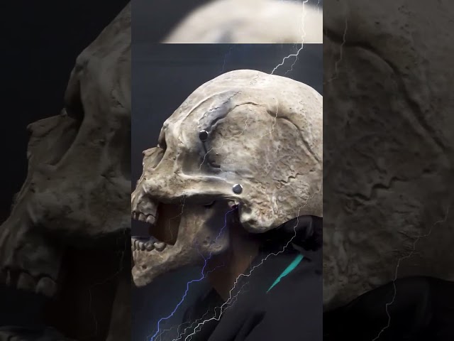 Vídeo relacionado con CDLIZW 2PCS Máscaras de Halloween,Animal Esqueleto Máscara De Halloween,Máscara Hombre Lobo,Resina Perro Cráneo Huesos Dientes Horror Terror Diablo Lobo,para Halloween,Carnaval,Fiestas