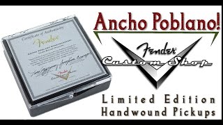 Video thumbnail for Fender Custom Shop Ancho Poblano Pickups by musicglryinc